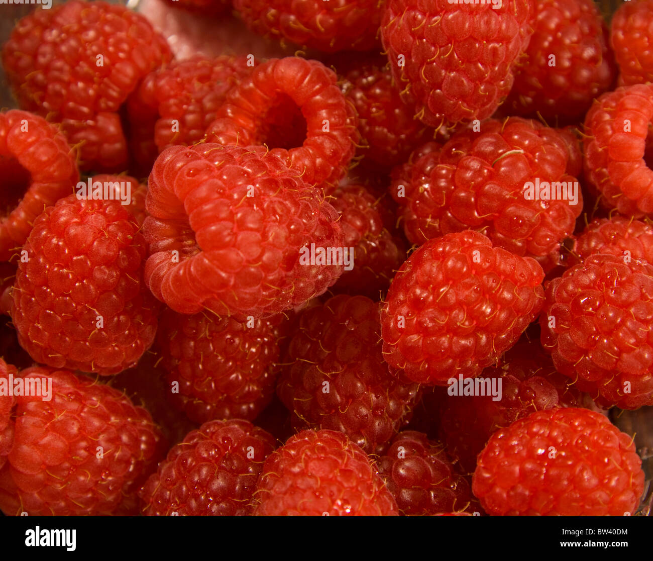 Close up Raspberries Stock Photo