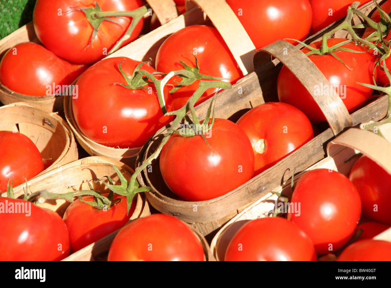 Multiple baskets of vine tomatoes Stock Photo