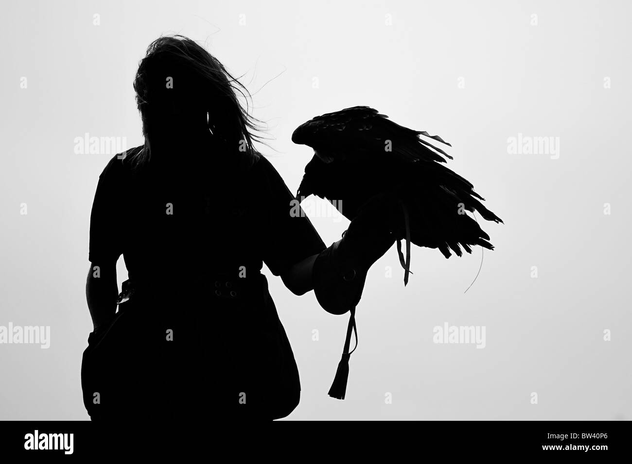 A vulture being held during during a falconry display Stock Photo - Alamy