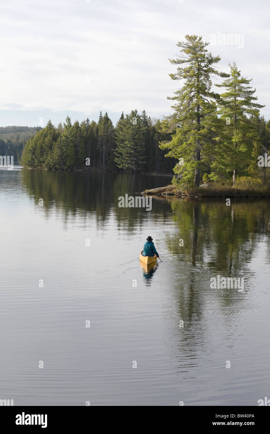 Senior woman paddling toward white pines, Algonquin Park, Ontario, Canada Stock Photo