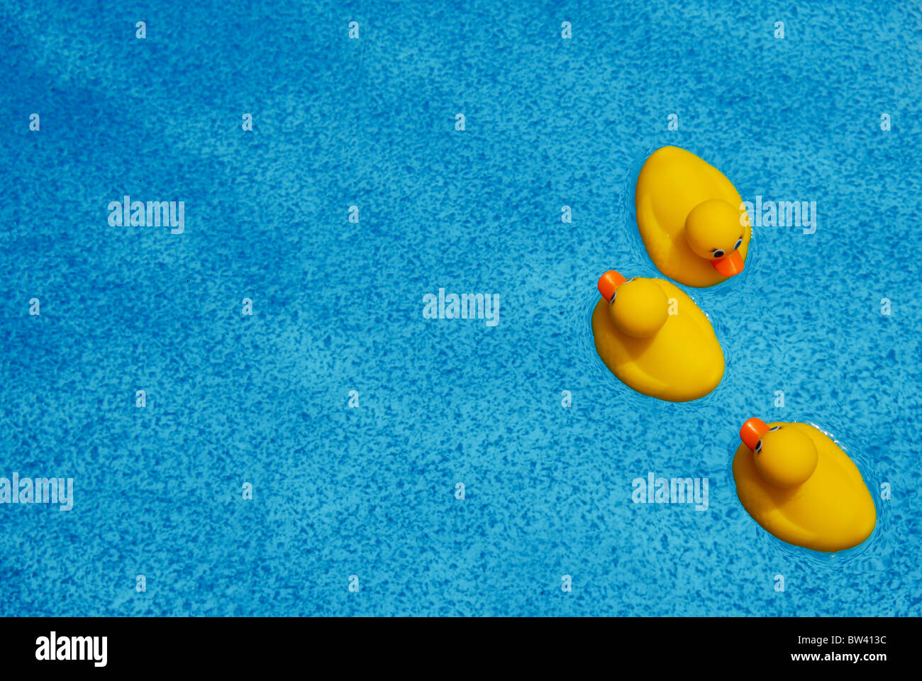 Three rubber duckies float on the aquamarine blue water in a swimming pool. Stock Photo