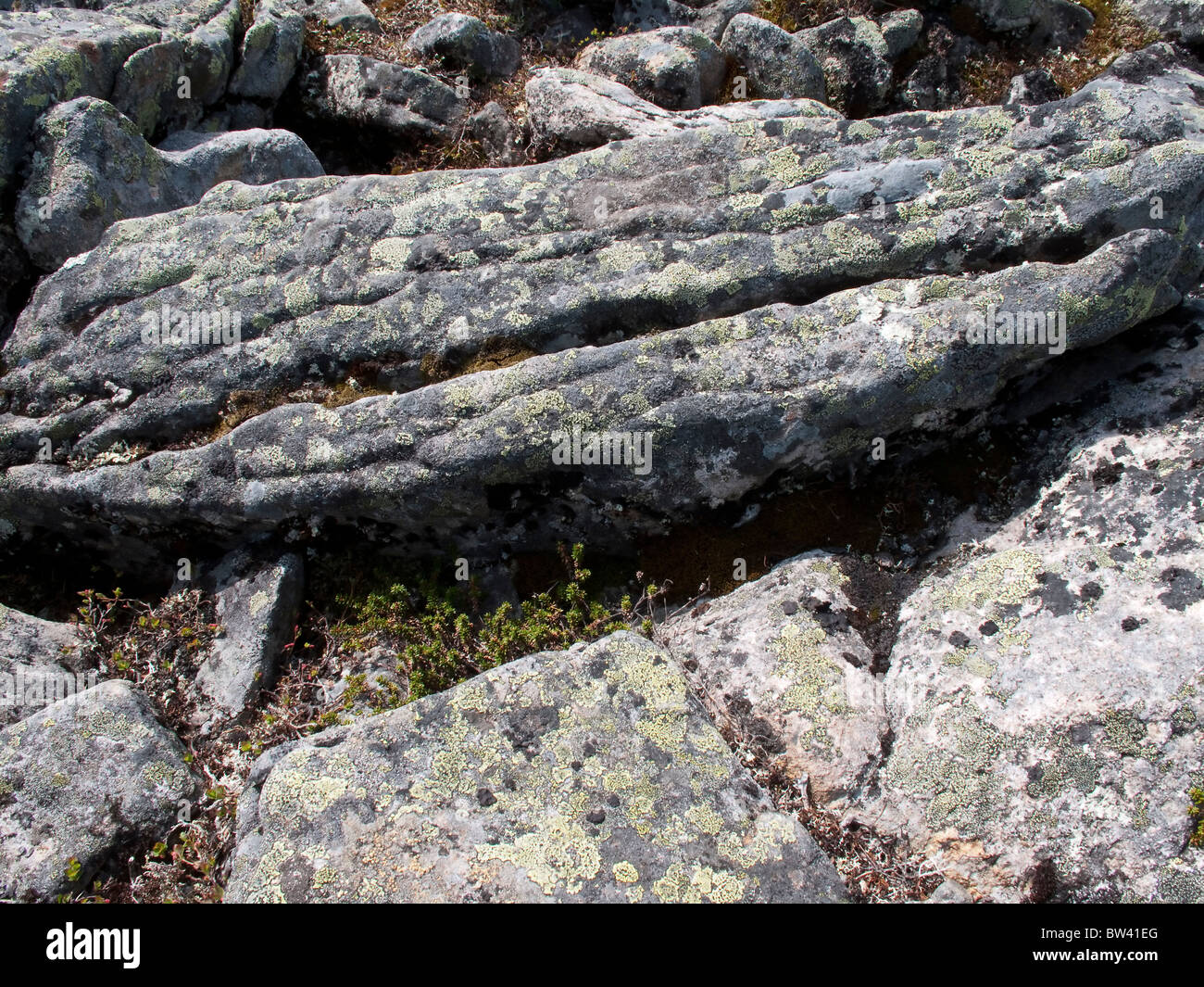 Alpine location hi-res stock photography and images - Alamy