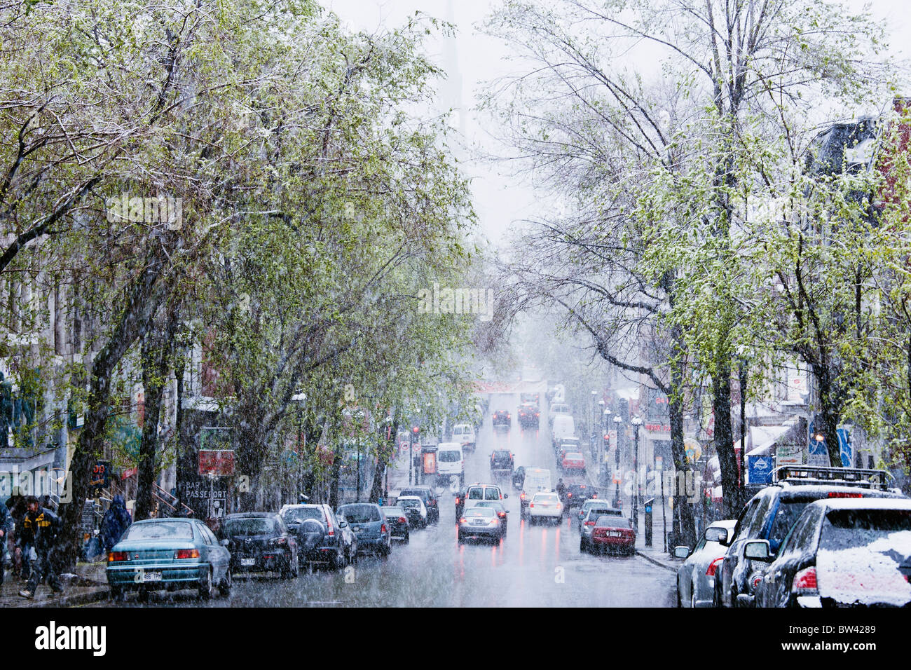 Snowstorm, Saint-Denis street, Montreal, Quebec Stock Photo