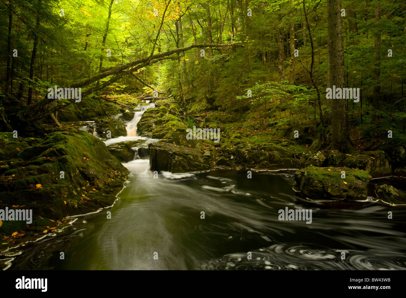 Small waterfalls and pool which empties into west branch of the St. Mary's River, St. Mary's, Nova Scotia Stock Photo
