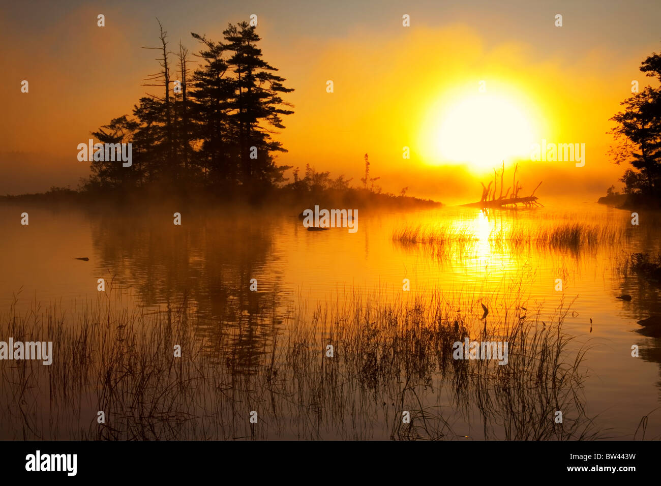 Island and misty sunrise on Shubenacadie, Grand Lake, Oakfield