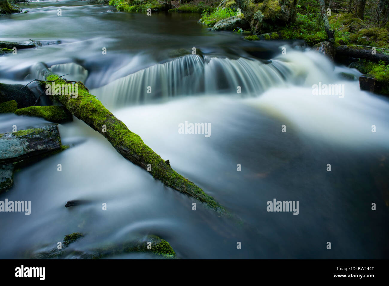 game sanctuary hires stock photography and images Alamy