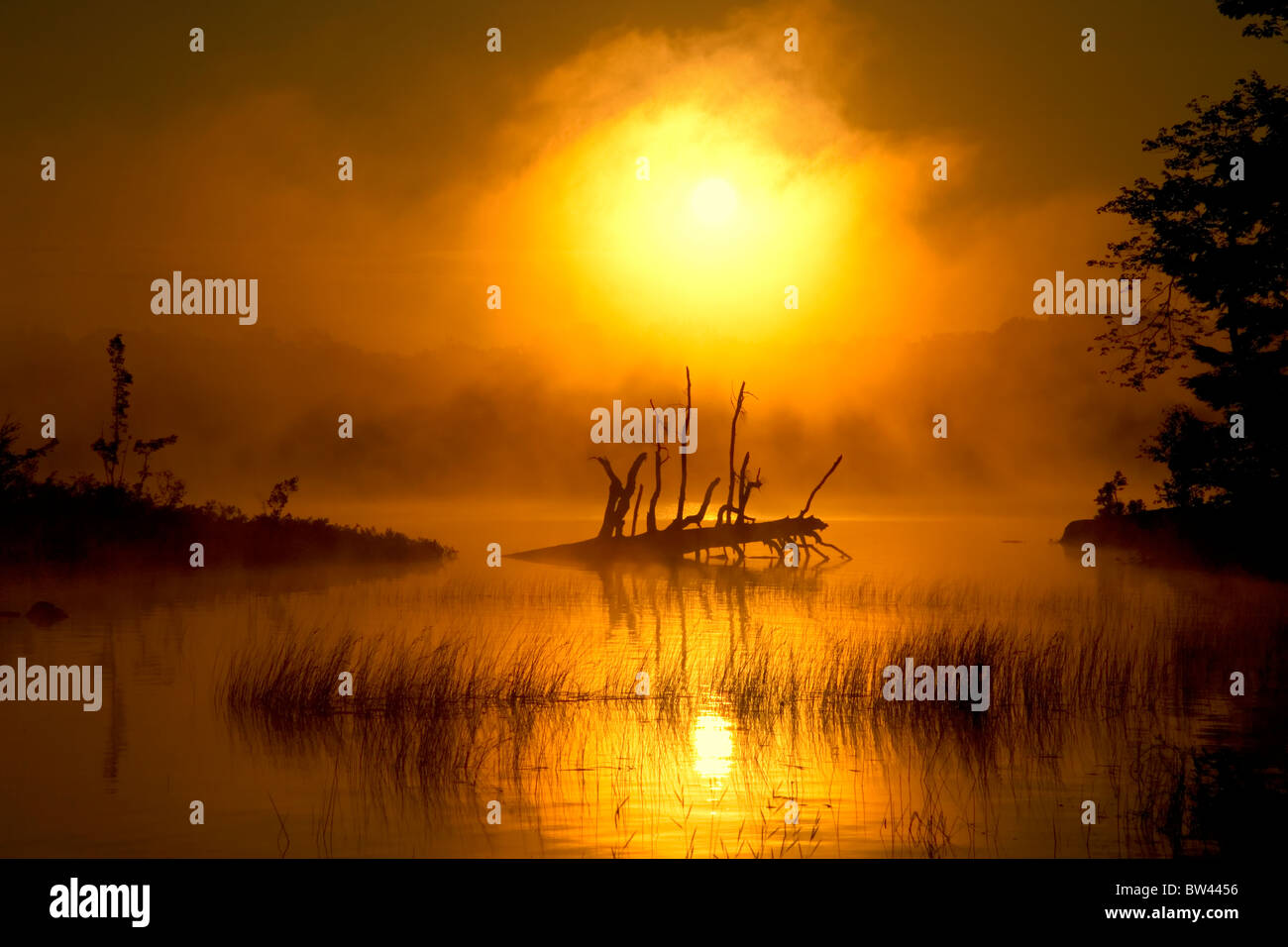 Oakfield hires stock photography and images Alamy