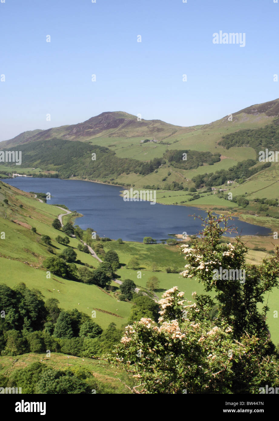 Tal Y Llyn Lake view from Mynydd Dol Ffanog near Corris Stock Photo - Alamy