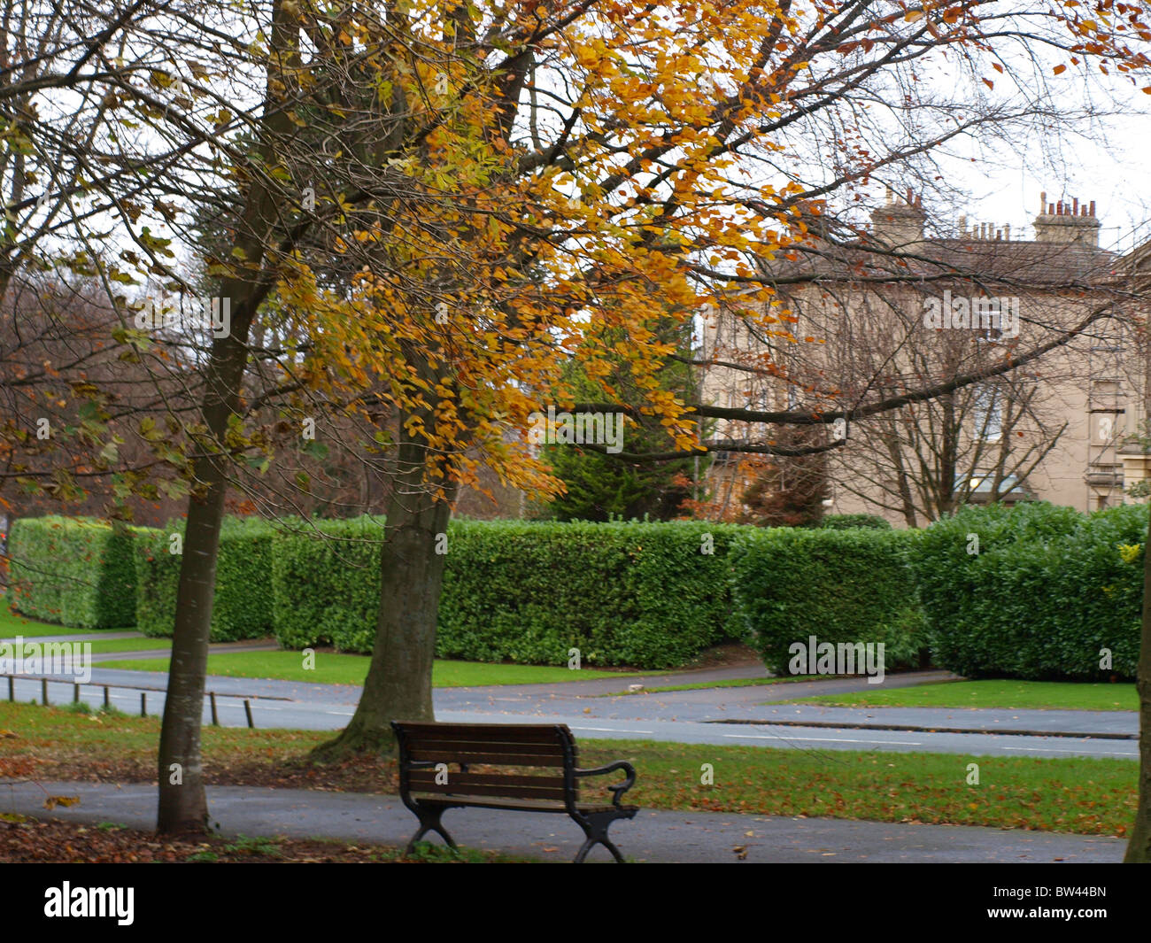 bench and autumn trees Stock Photo