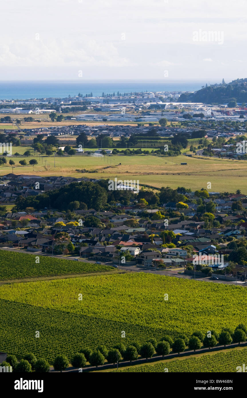 Houses,Mission Estate Winery, Napier, Bay ,Views from Sugar Loaf Hill