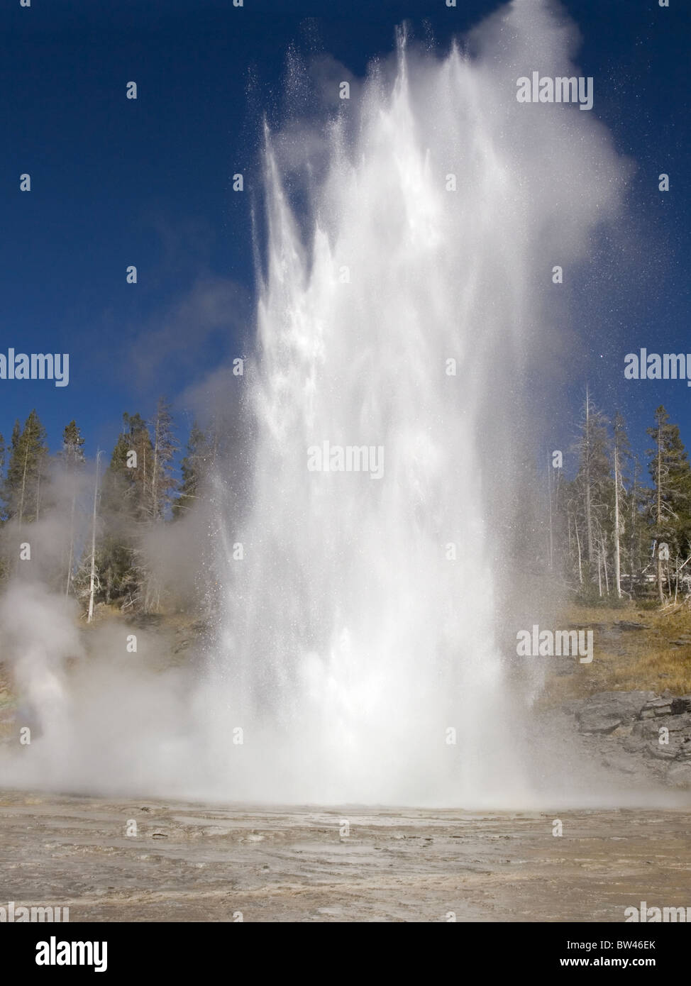 Grand Geyser Yellowstone erupting Stock Photo