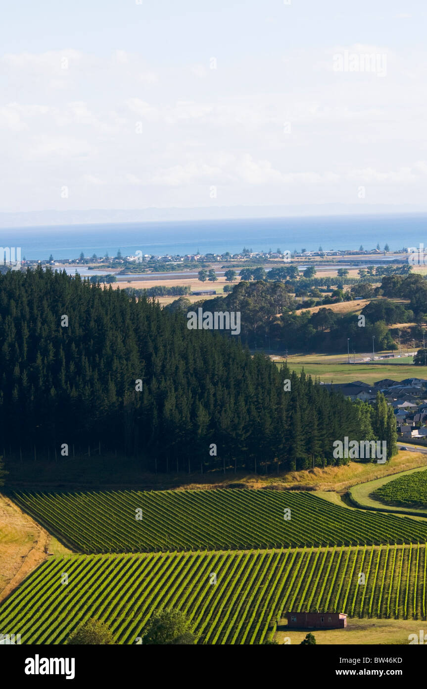 Houses,Mission Estate Winery, Napier, Bay ,Views from Sugar Loaf Hill, Tironui Drive,Taradale Houses,Mission Estate Winery, Napier, Bay ,Views from Sugar Loaf Hill, Tironui Drive,Taradale