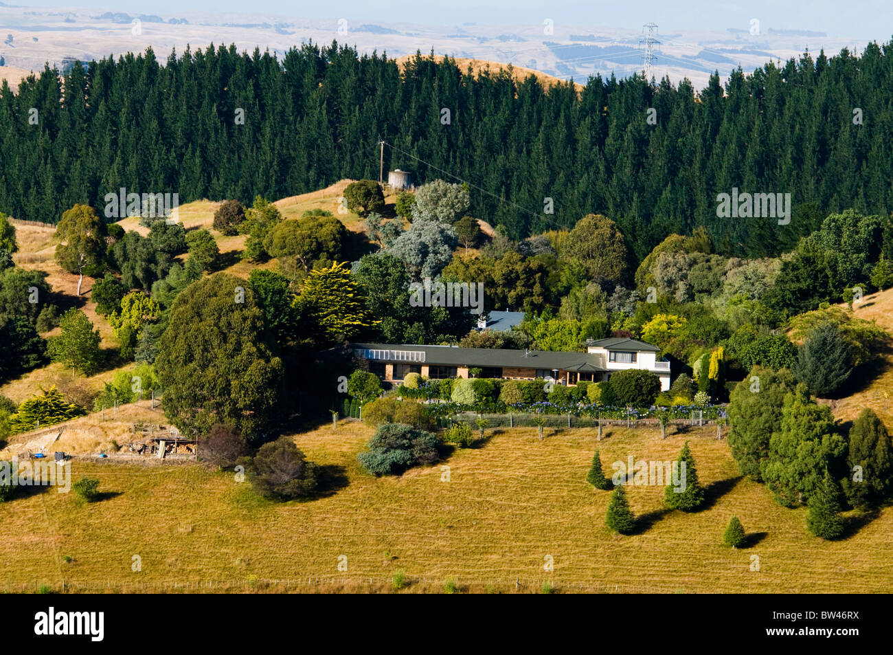Houses,Mission Estate Winery, Napier, Bay ,Views from Sugar Loaf Hill