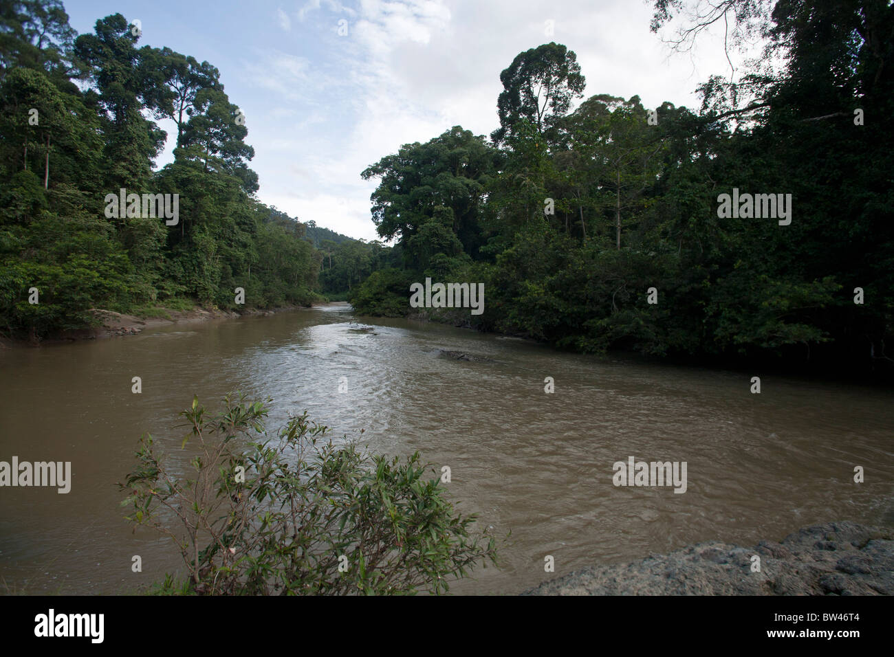 A view of the Segama river near the Danum Valley field center in the Danum Valley Conservation Area, in Sabah, Borneo, Malaysia. Stock Photo