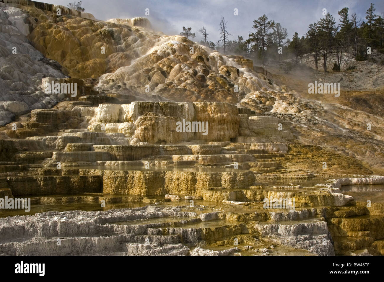 Palette Springs, Mammoth Hot Springs, Yellowstone Stock Photo