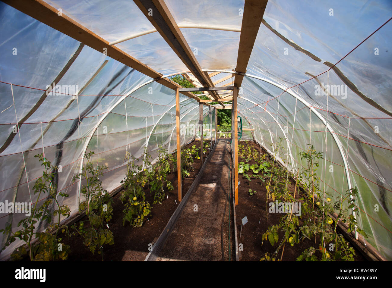 Interior of a simple homemade plastic covered greenhouse , Finland Stock Photo