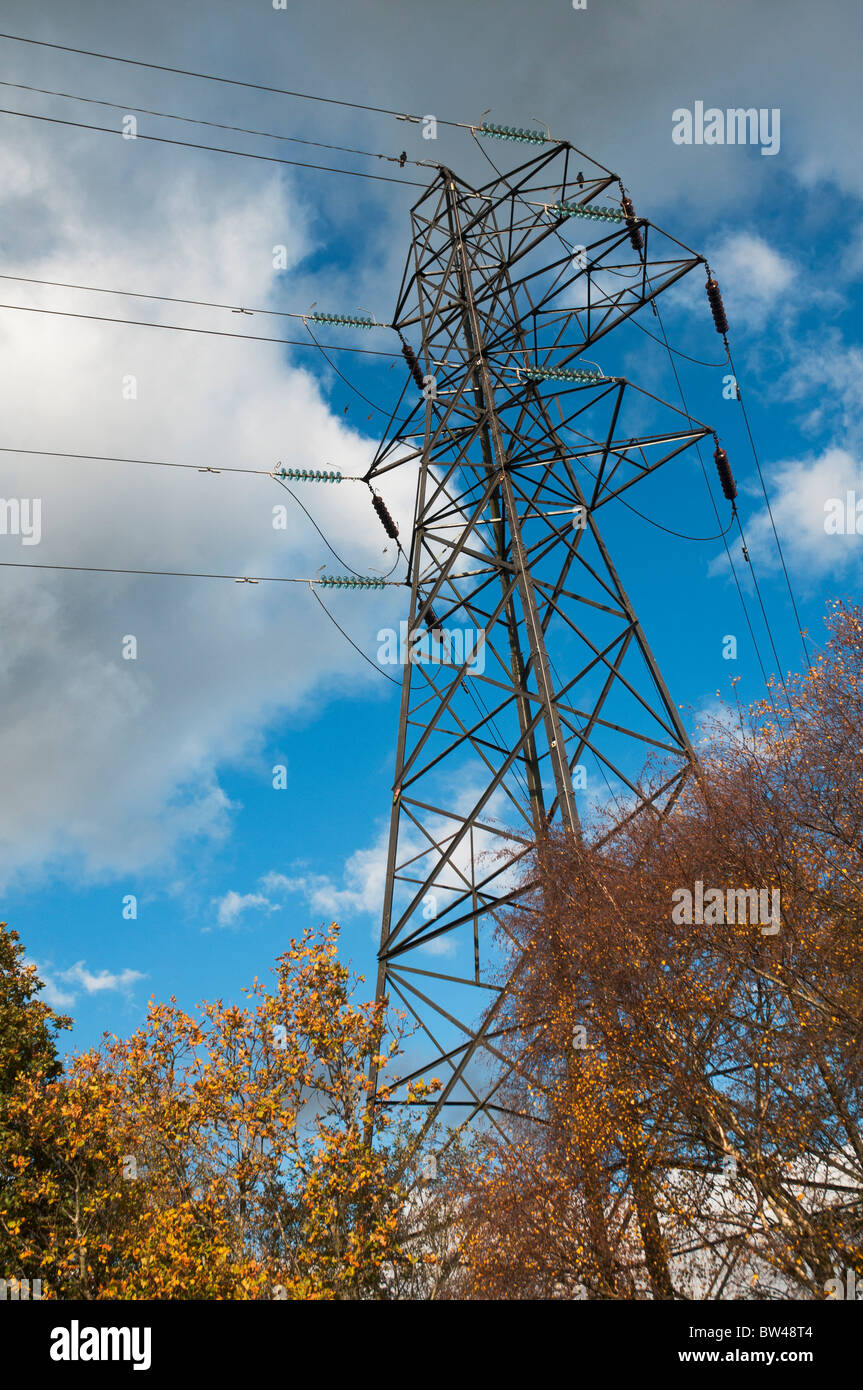 electricity pylon in autumn with bright sky and coloured leaves Stock Photo