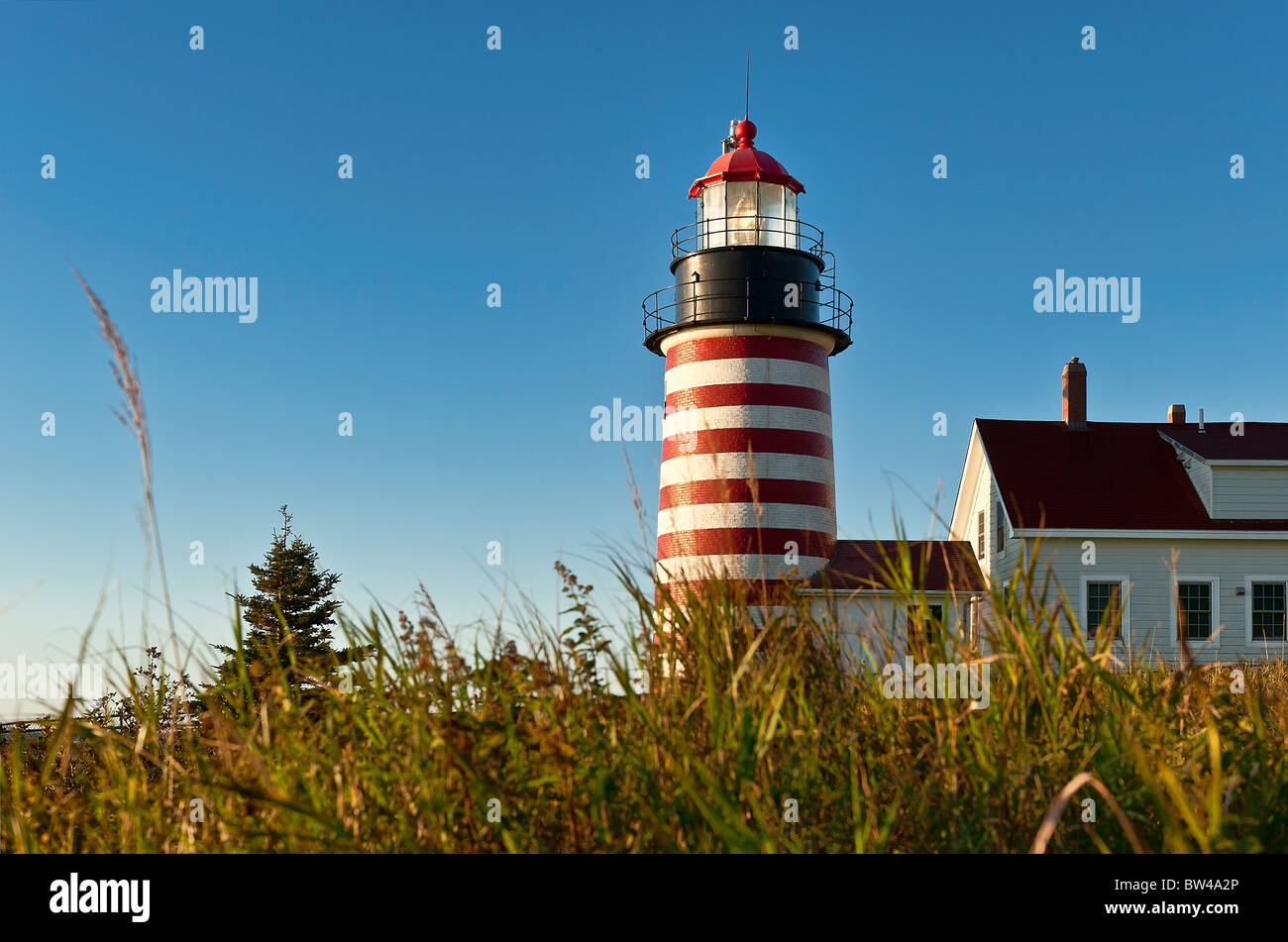West Quoddy Head Light , Lubec, Maine, USA Stock Photo
