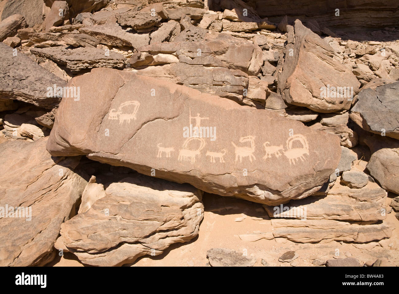 Ancient rock art showing depictions of man hunting  animals in the Eastern Desert of Egypt. Stock Photo