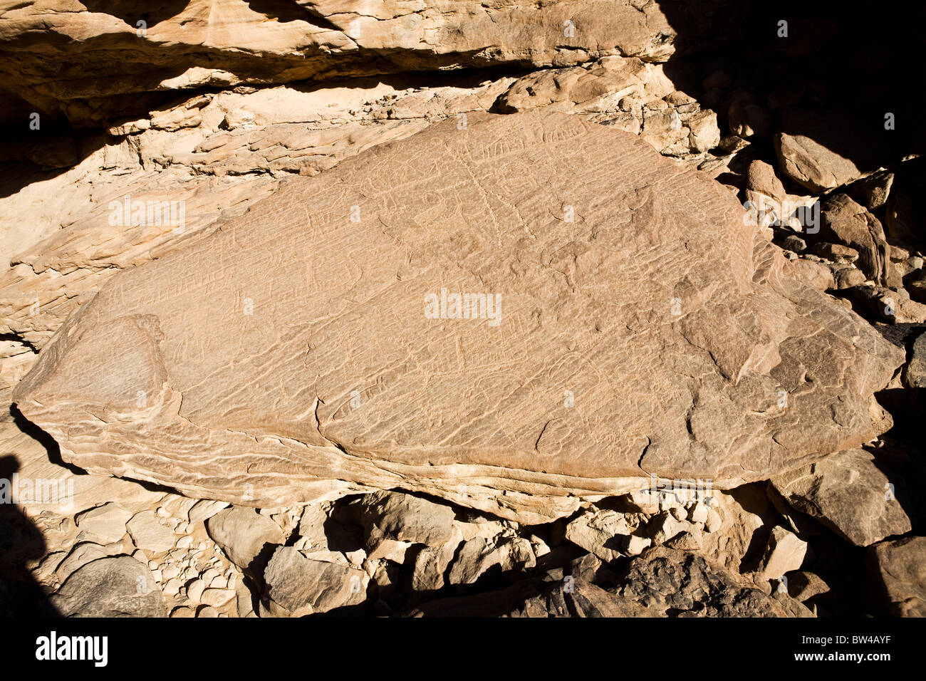 Etchings on a fallen rock in the Eastern Desert of Egypt Stock Photo