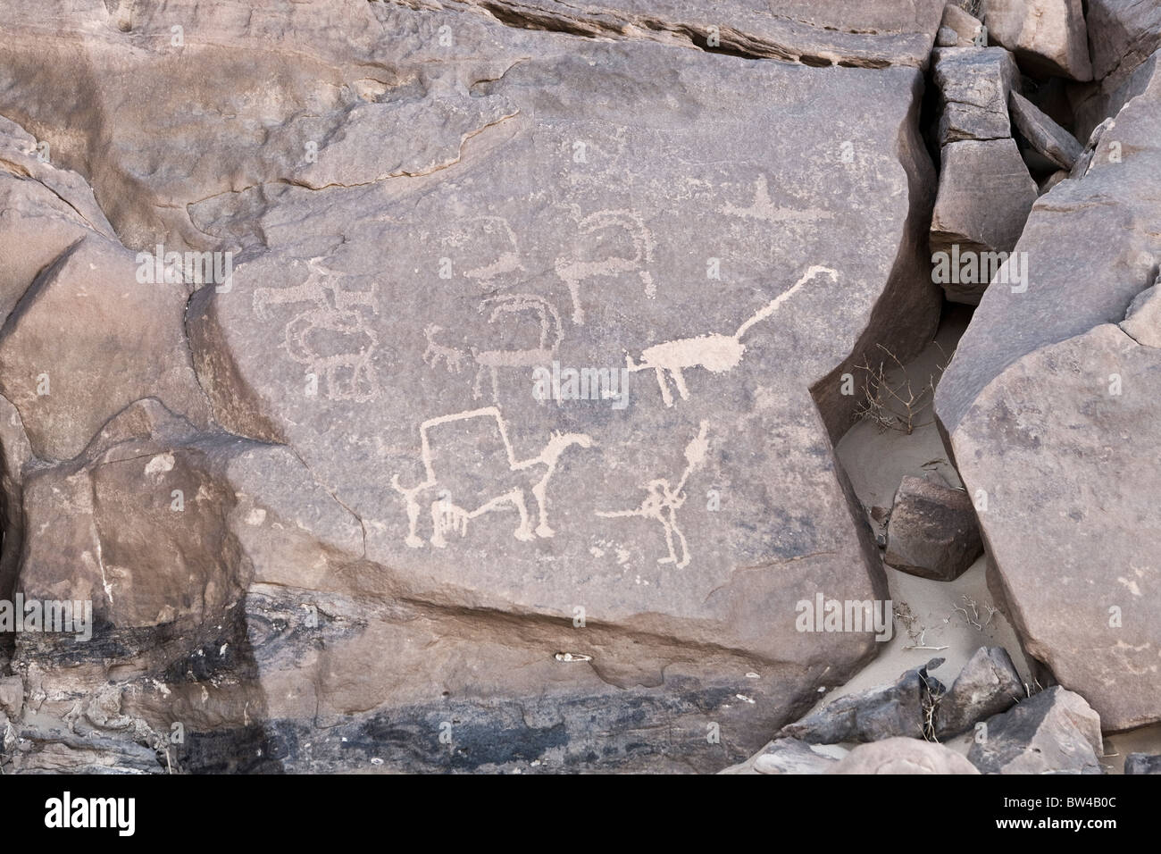Petroglyphs of various animals in The Eastern Desert of Egypt Stock Photo