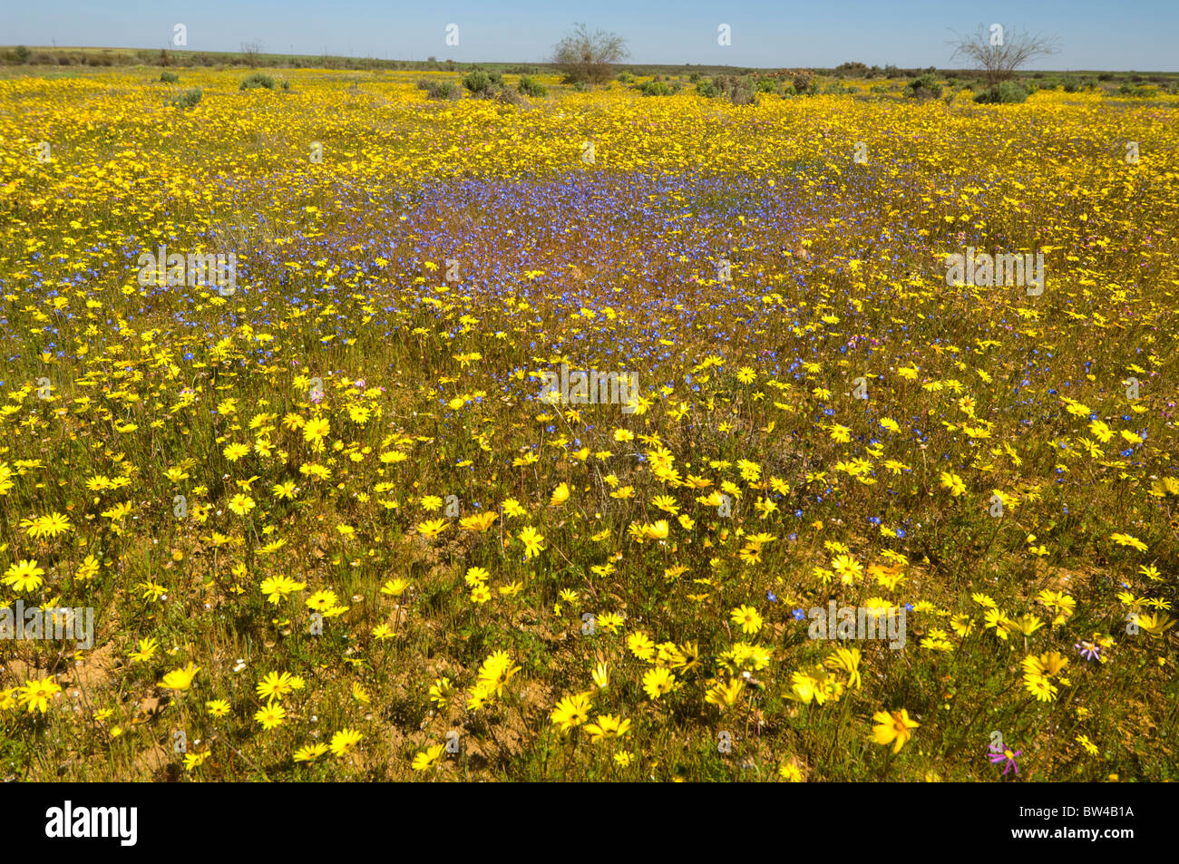 Matjiesfontein Namaqualand Western Cape South Africa Stock Photo