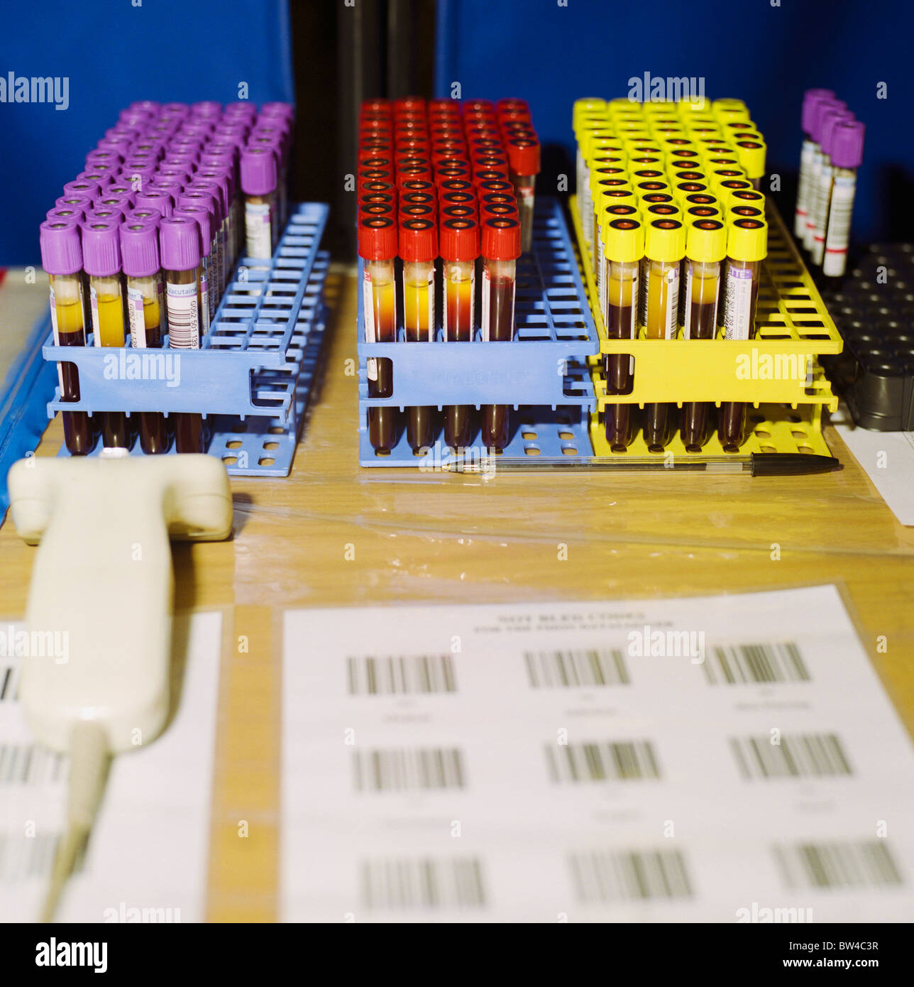 collection of blood samples Stock Photo Alamy