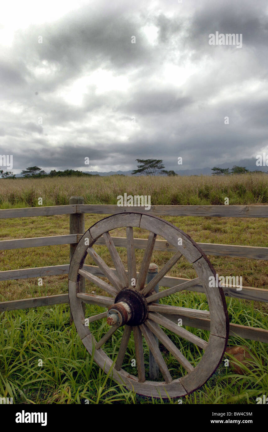 Wagon Wheel on ranch Stock Photo Alamy