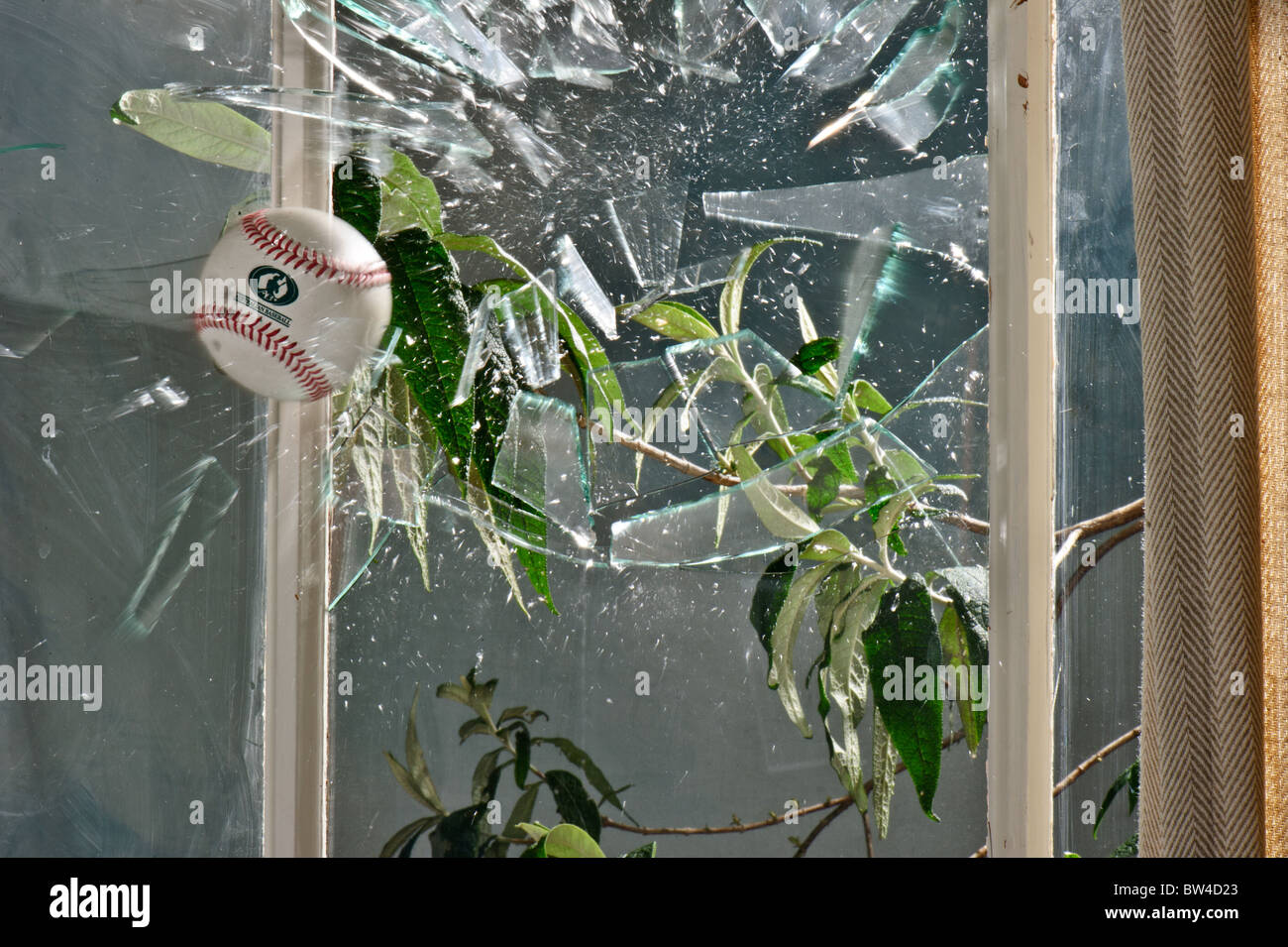 Baseball crashes through window Stock Photo Alamy