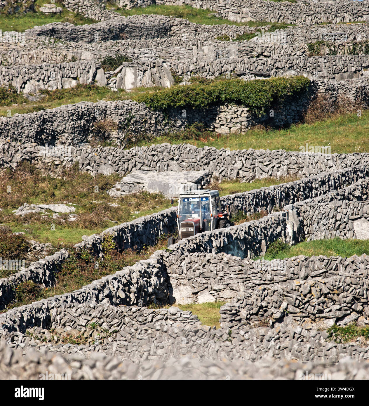 A tractor driving along a green lane between fields of dry stone walls on Inis Meain, Aran Islands, County Galway, Ireland. Stock Photo