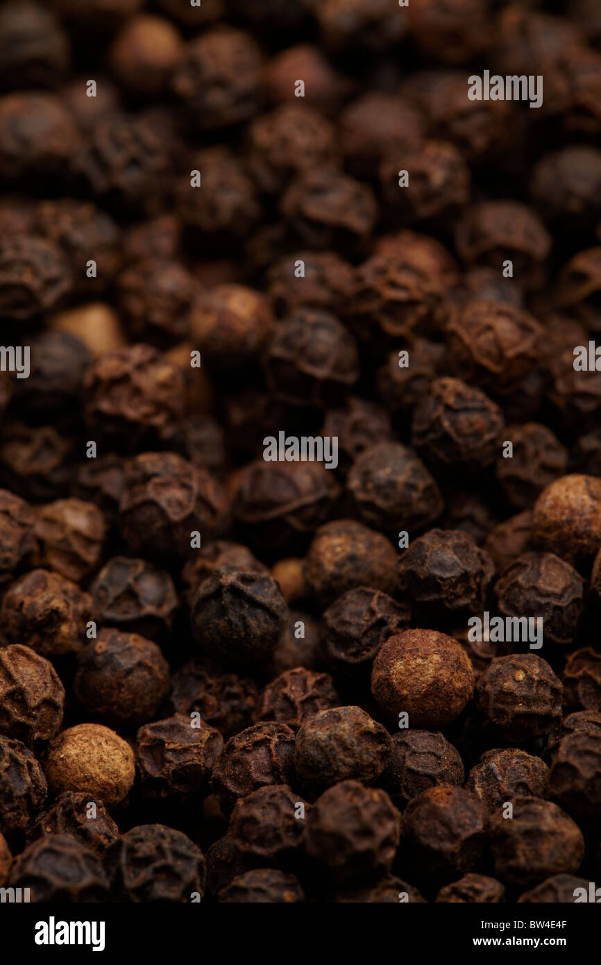Large number of spicy black peppercorns Stock Photo