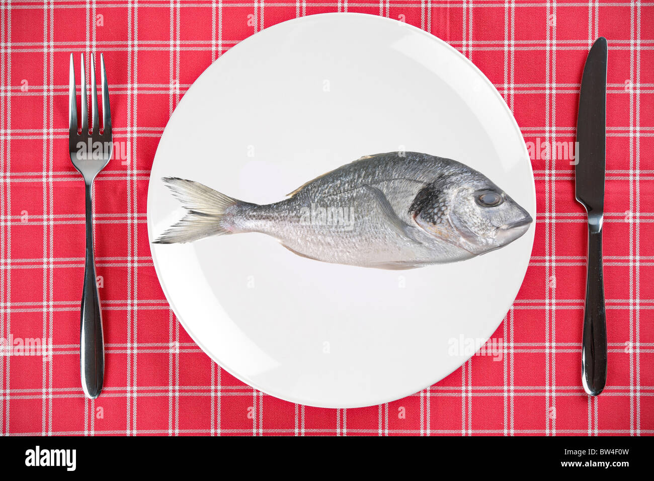 Uncooked fish (sparus auratus) on a plate Stock Photo