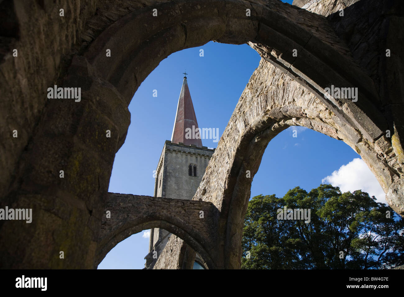 Holy Trinity Church, Buckfastleigh Stock Photo Alamy