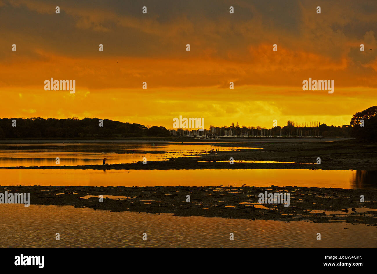 Sunset at Dell Quay looking towards Birdham Pool. People digging bait. November. Low tide. Stock Photo