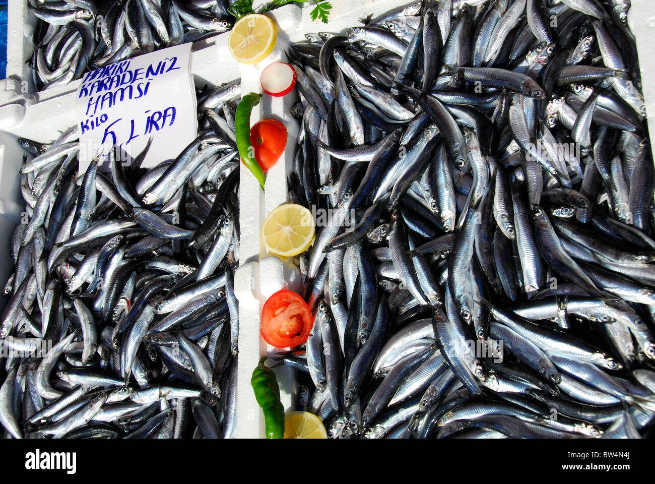 ISTANBUL, TURKEY. Freshlycaught anchovies for sale at the fish market
