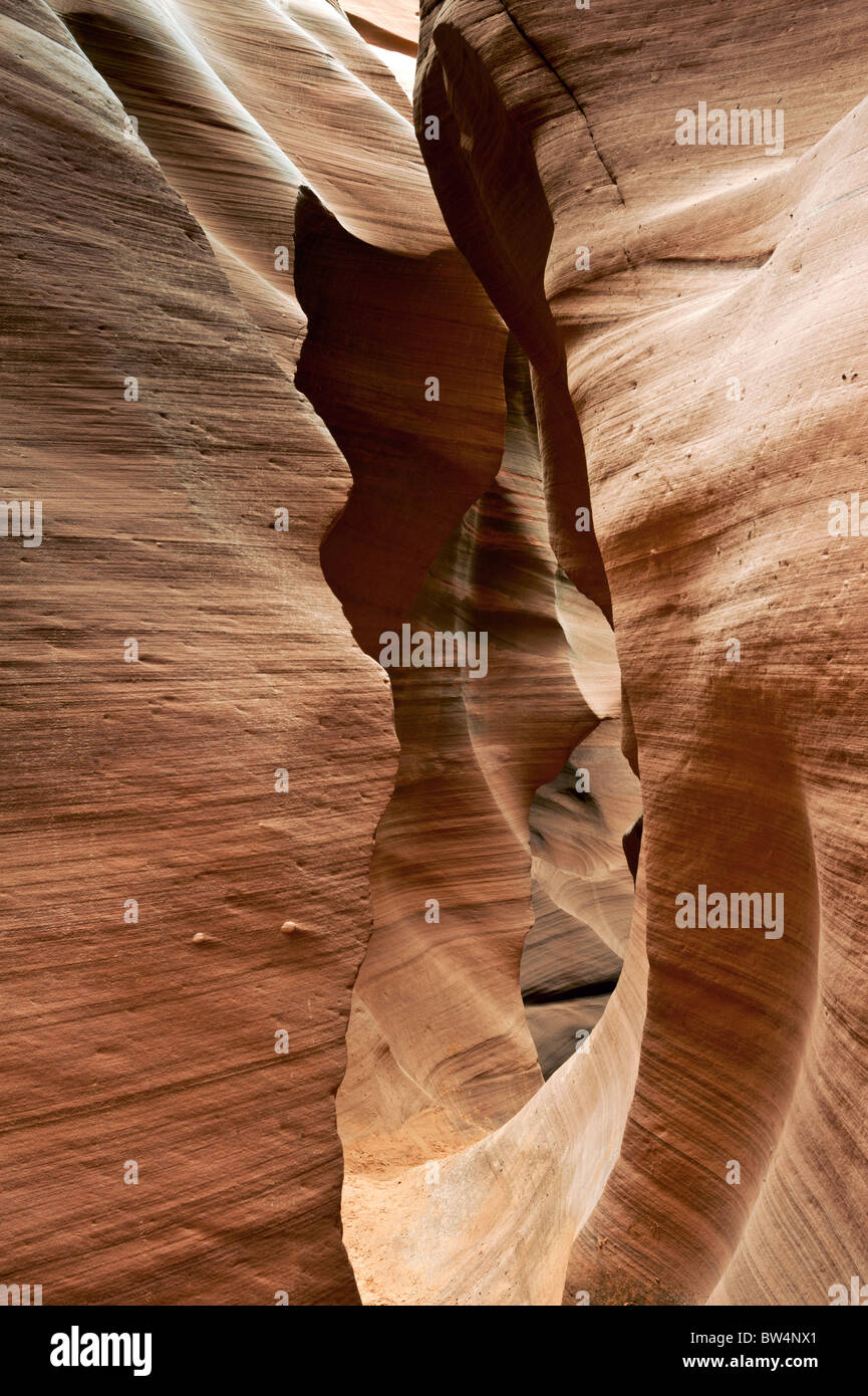 Lower Antelope slot Canyon  Page Arizona detail of how narrow it can get Stock Photo