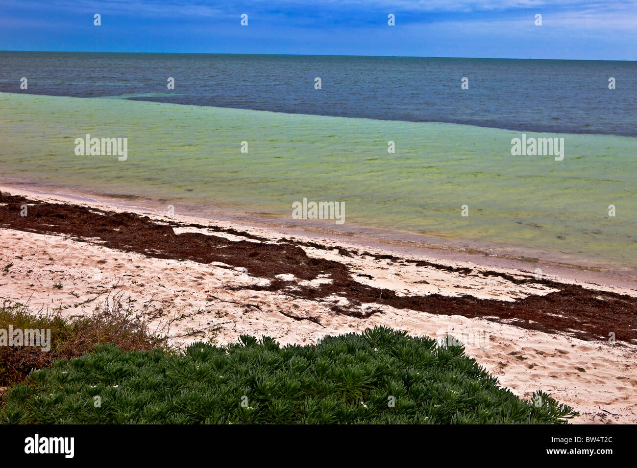 Beach Scene, Bahia Honda State Park, Florida Keys, Florida Stock Photo