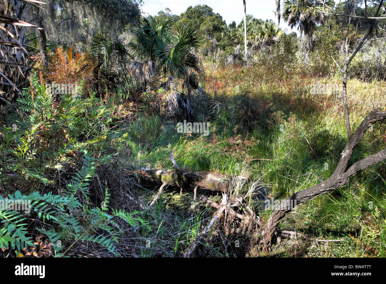 Manatee lake state park hi-res stock photography and images - Alamy
