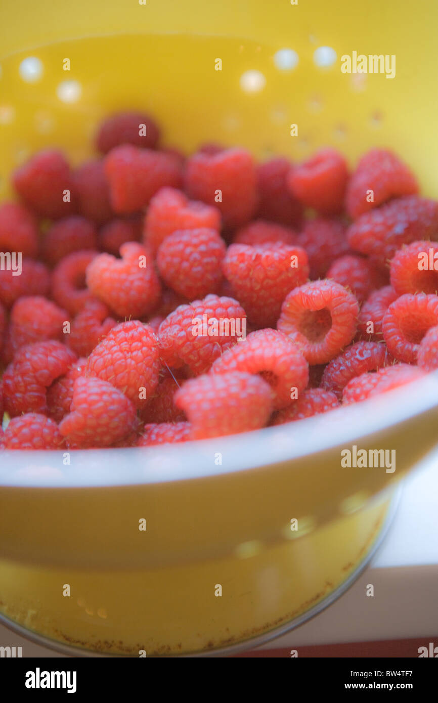 ripe raspberries in a yellow bowl Stock Photo