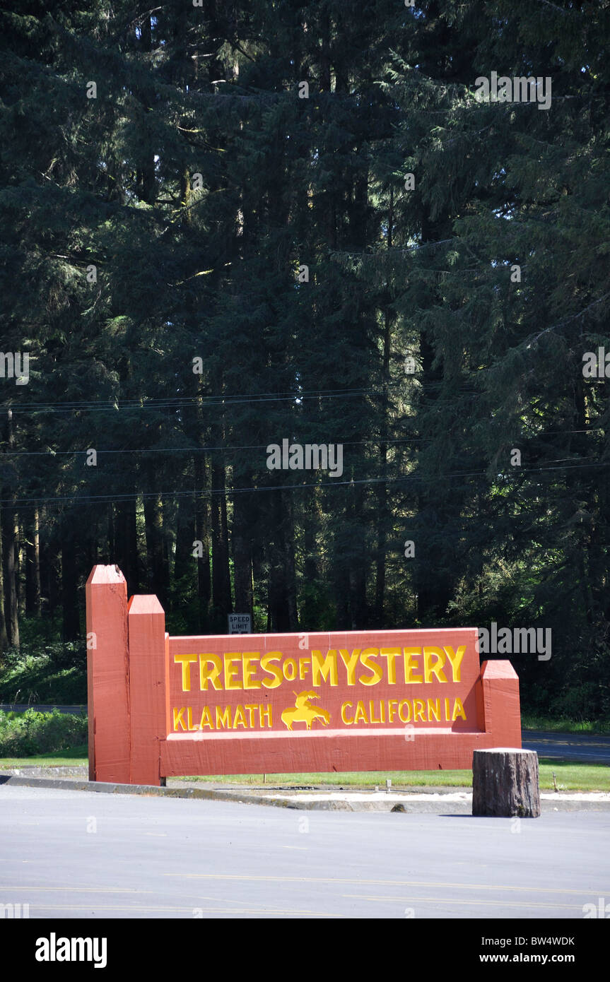 Trees Of Mystery, Klamath, California, Redwoods National Park, USA