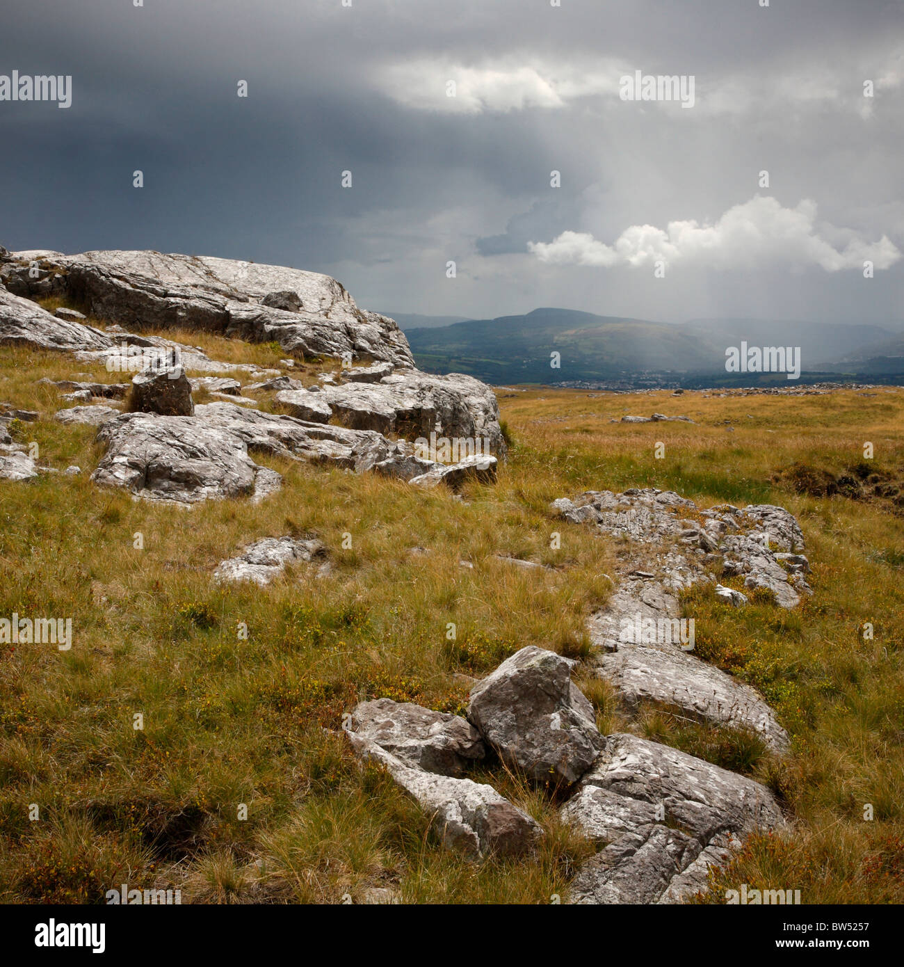 Limestone Outcrop on Black Mountain, Brecon Beacons, Wales, UK Stock