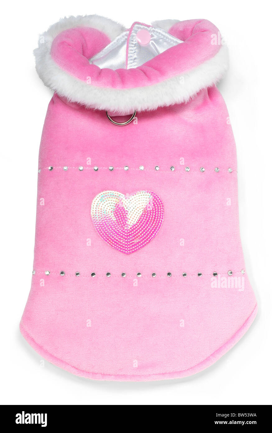 Pink coat for a small dog Stock Photo Alamy