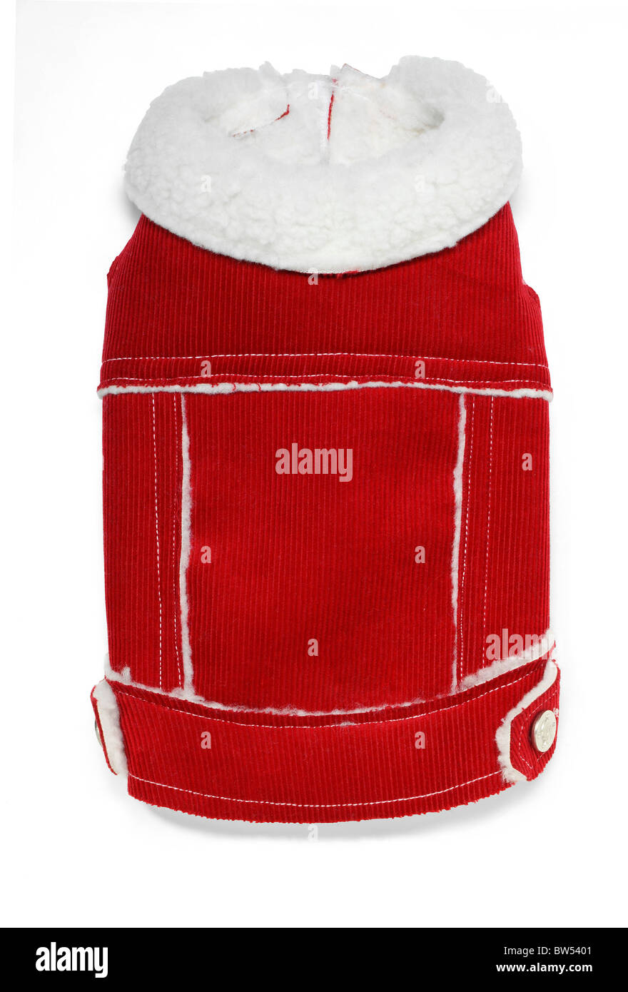 Red cord coat for a small dog Stock Photo