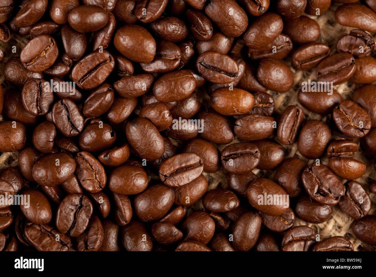 Close-up macro of nice coffee beans. Stock Photo