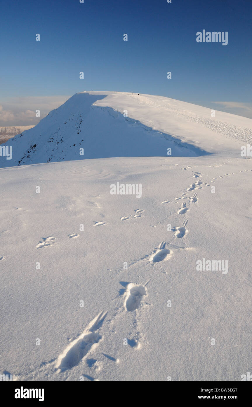 Footprints in the snow on Helvellyn in  the English Lake District Stock Photo