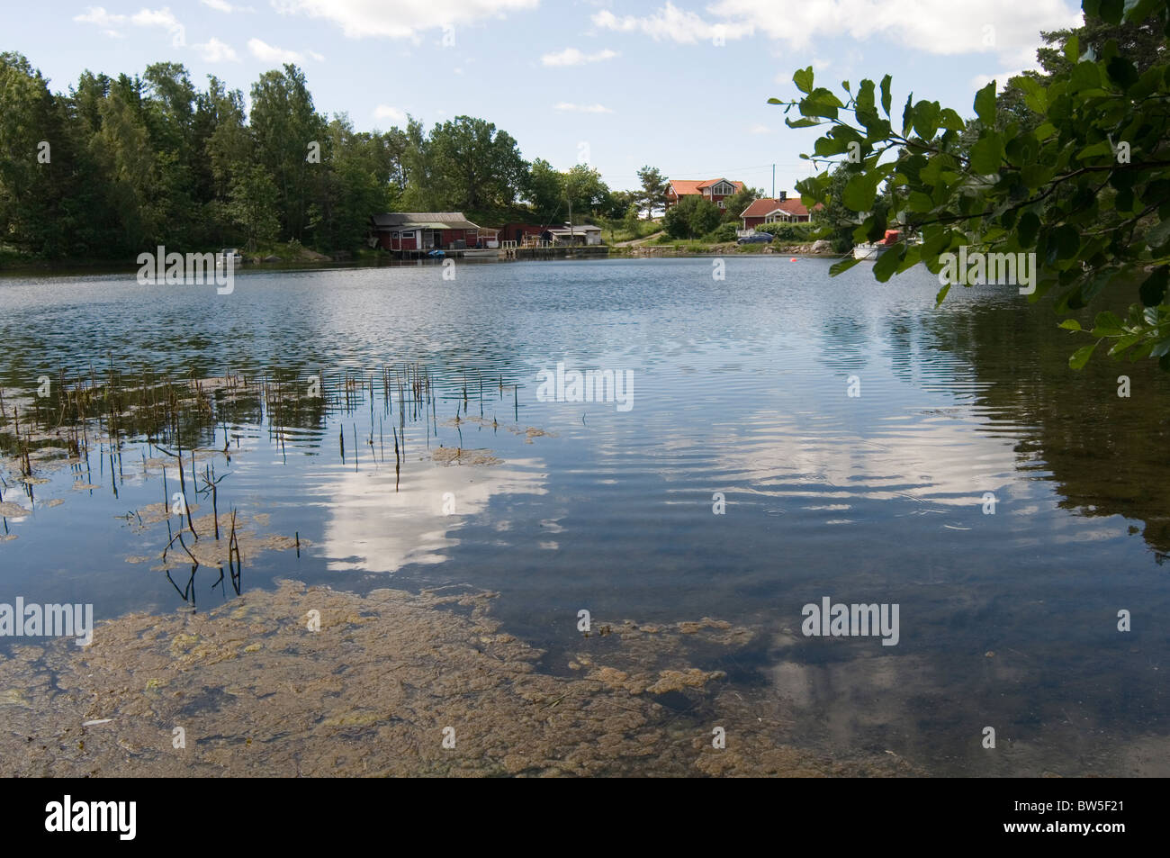 swedish lake lakes water clean clear fresh pure purity sverge calm sunny day sun summer days Stock Photo