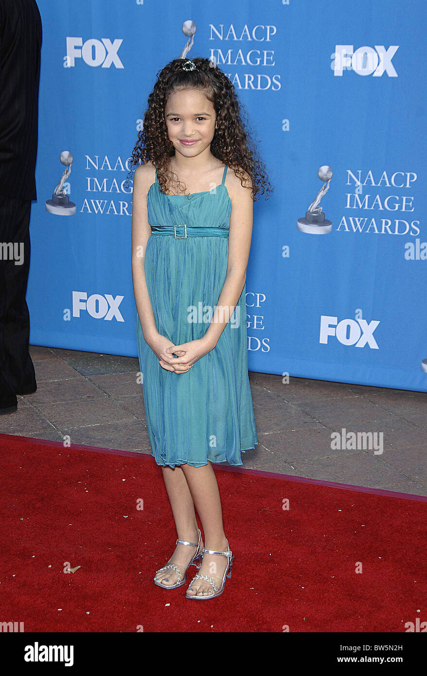 NAACP 39th Annual Image Awards Stock Photo