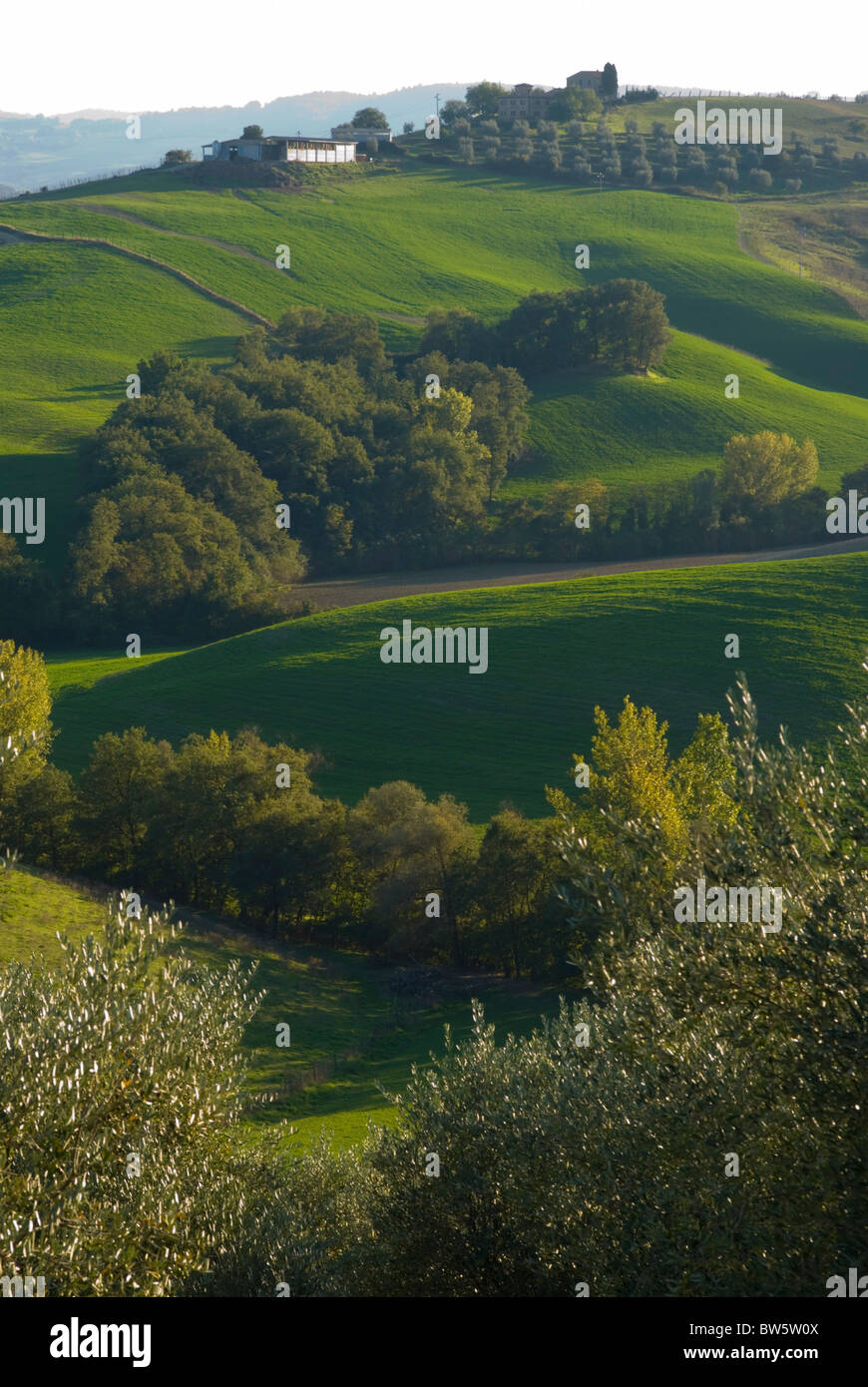 Tuscany Landscape Near Montepulciano Stock Photo Alamy