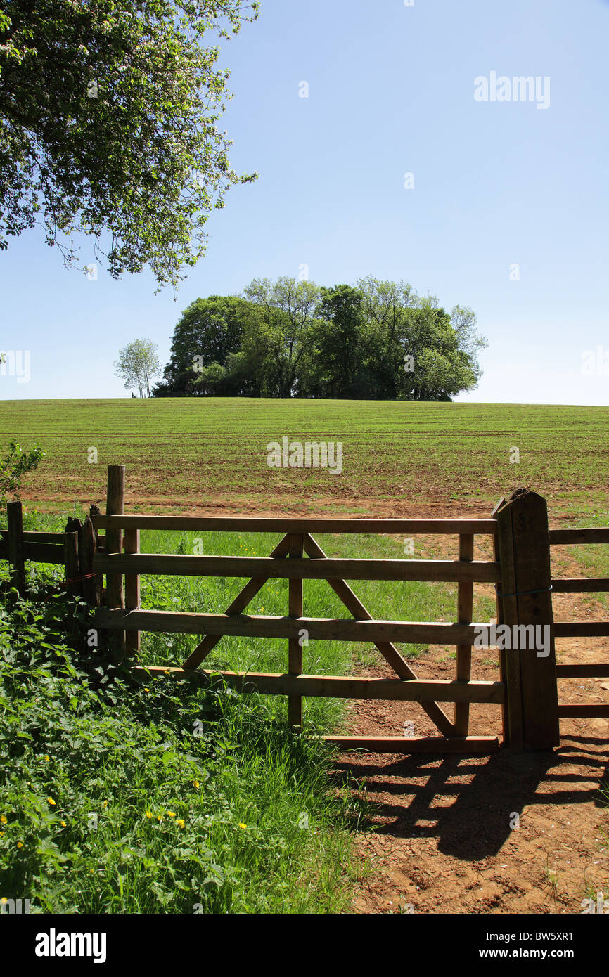 COTSWOLD COUNTRYSIDE IN SPRING. GLOUCESTERSHIRE. ENGLAND. UK Stock ...