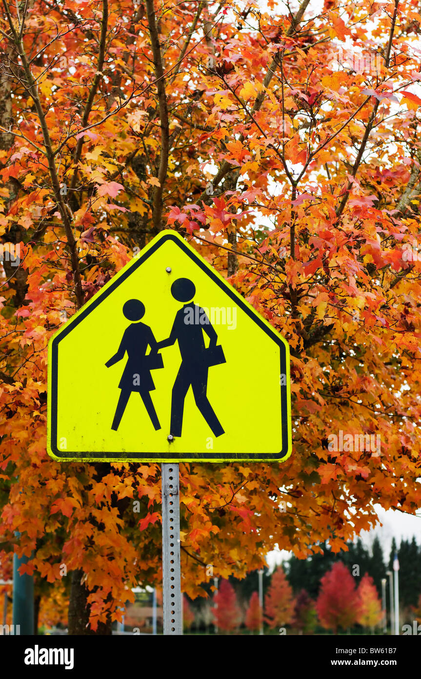 A bright school crossing sign is surrounded by trees displaying magnificent fall colors. Stock Photo